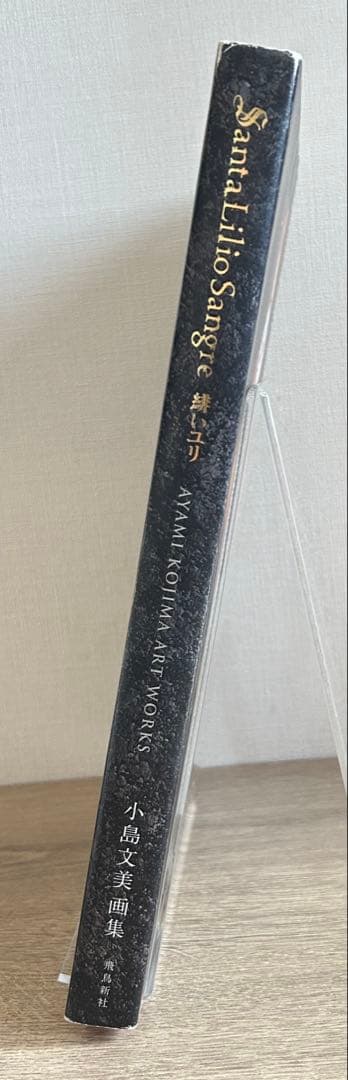 小島文美　画集　Santa Lilio Sangre　〜緋いユリ〜