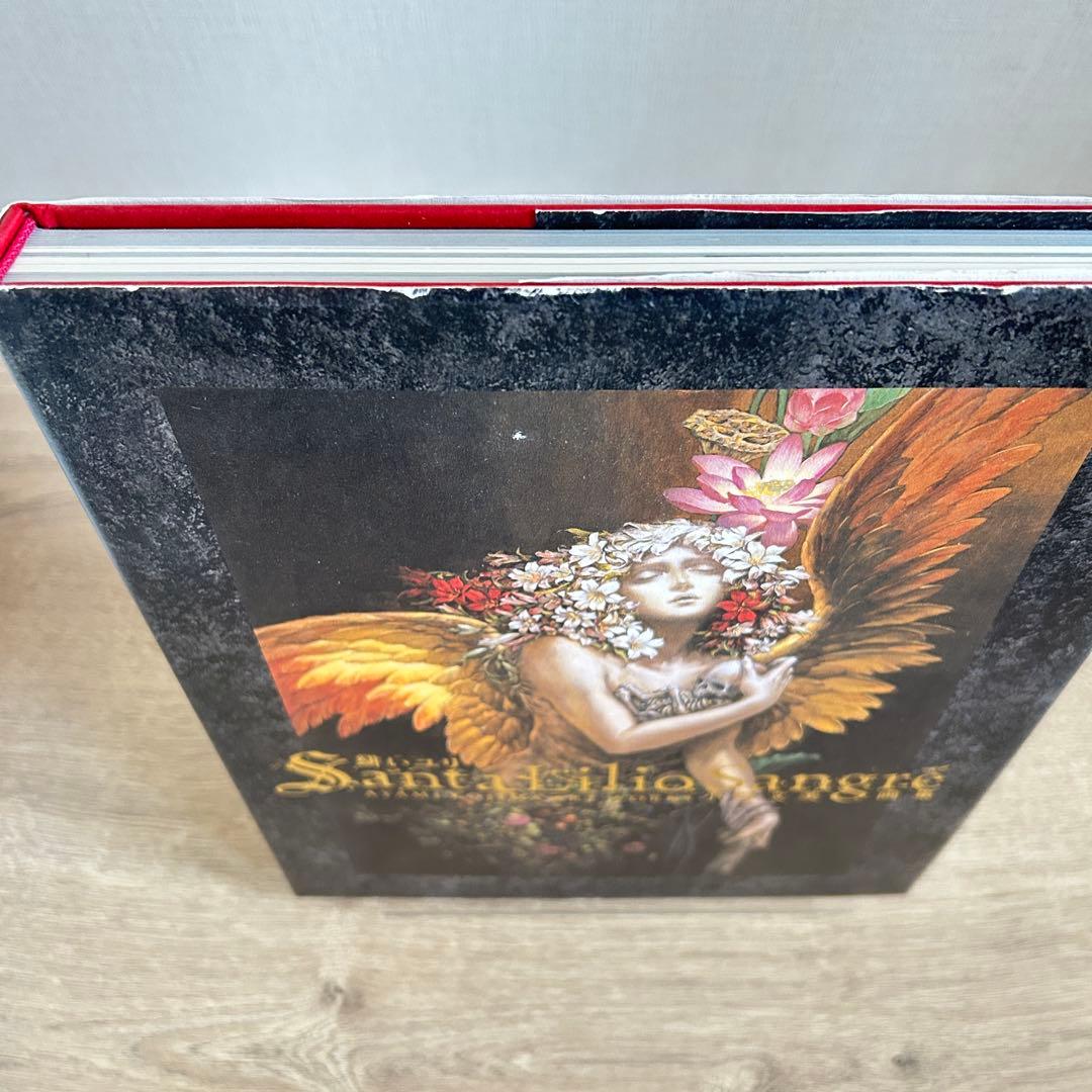 小島文美　画集　Santa Lilio Sangre　〜緋いユリ〜