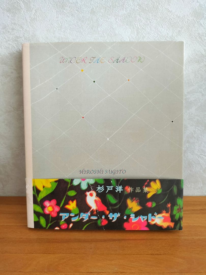 杉戸洋 アート作品集 UNDER THE SHADOW アンダー・ザ・シャドー under | the | shadow | アンダー | ザ | シャドー | 杉戸洋作品集