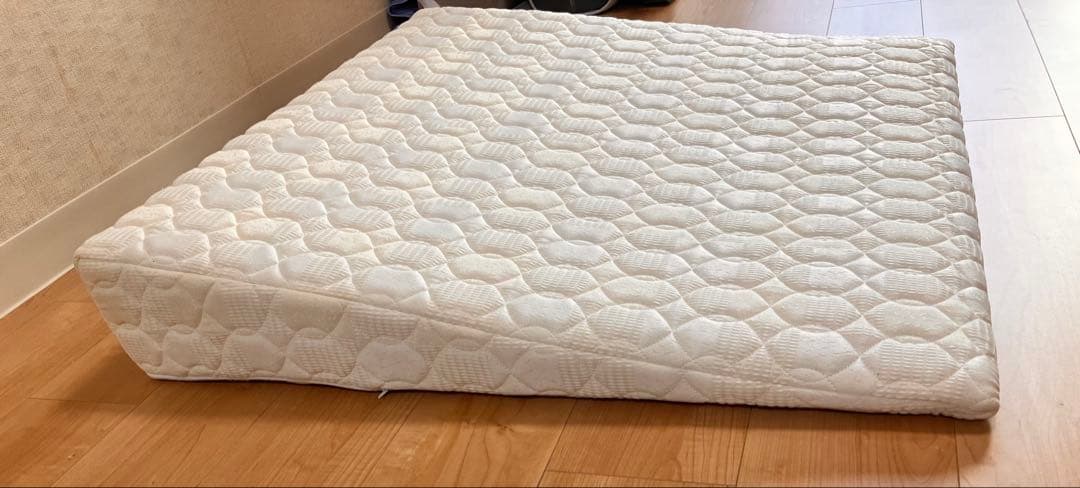 送料込&匿名配送 背上げマット「ラクーイ10度」安心の日本製 傾斜