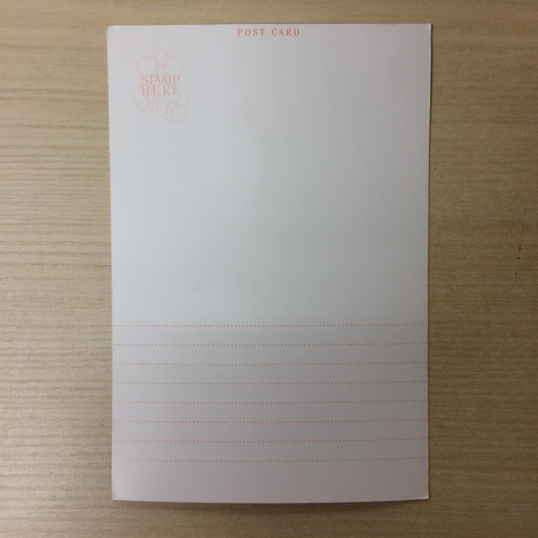 Cinderella Road DVD 森下千里 【送料無料！】