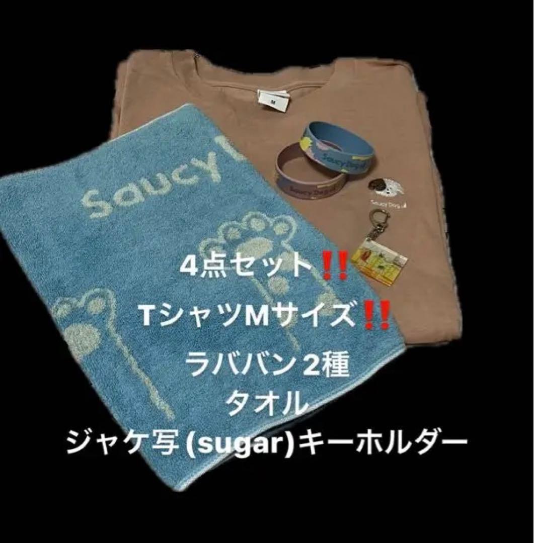 saucy dog サウシードッグ Tシャツ タオル ラババン キーホルダー