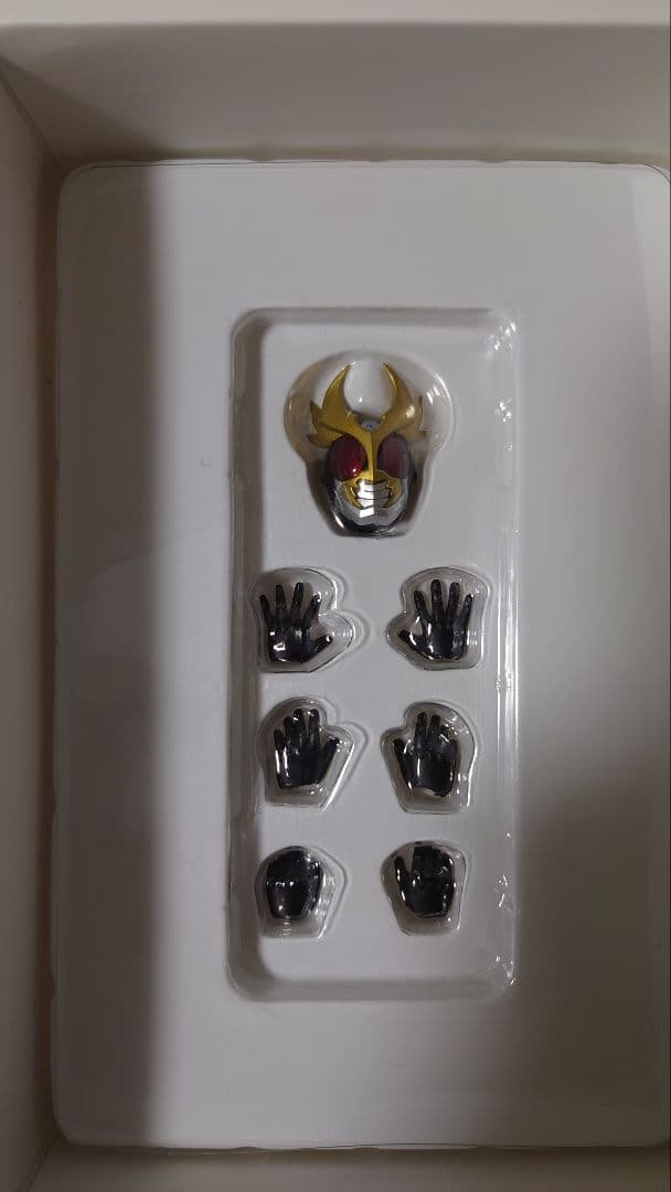 S.H.Figuarts　真骨彫　仮面ライダーアギト