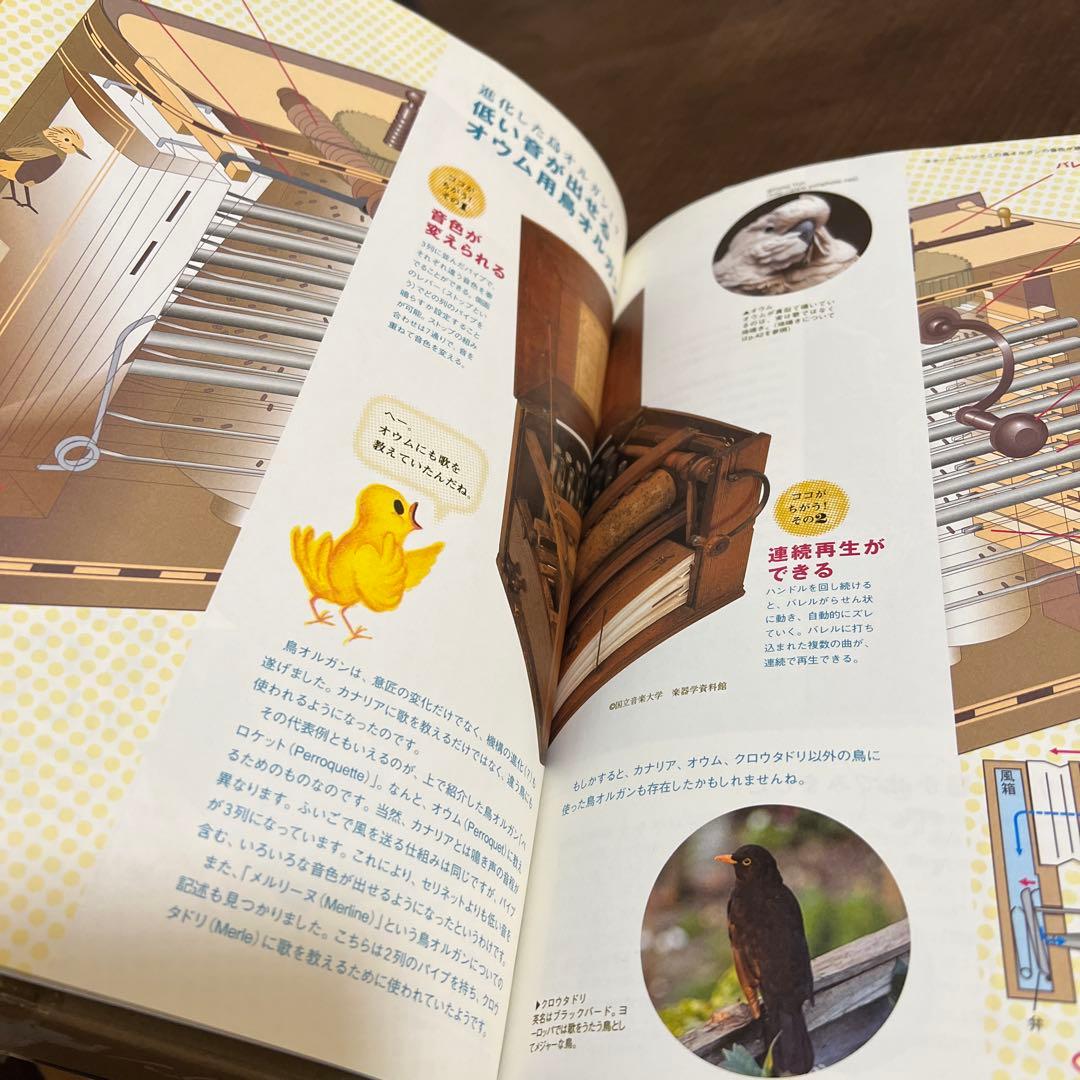 【希少:未使用】大人の科学マガジン vol.20手回し鳥オルガン