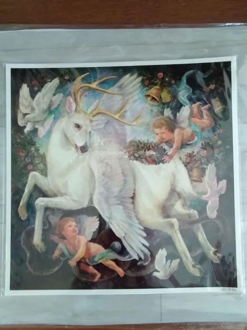 Mrs.GREEN APPLEミセス Soranji CD 特典 メガジャケット - メルカリ