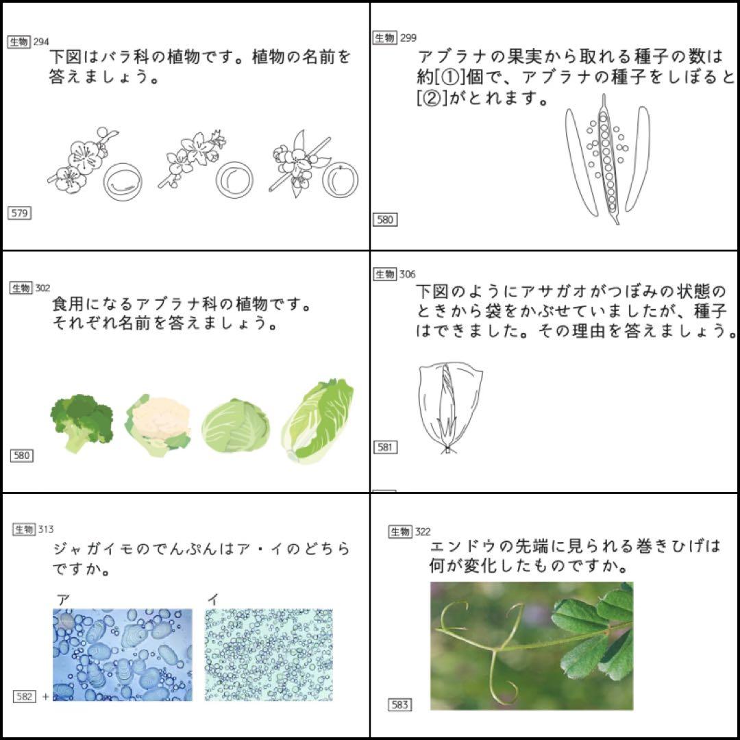 中学受験 暗記カード 理科 生物 サピックス 予習シリーズ コアプラス