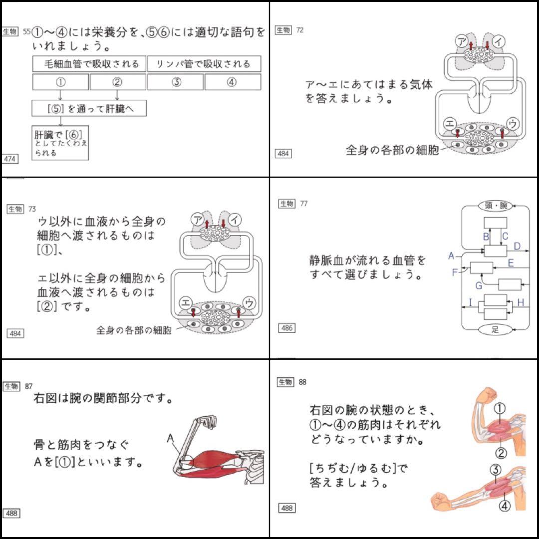 中学受験 暗記カード 理科 生物 サピックス 予習シリーズ コアプラス