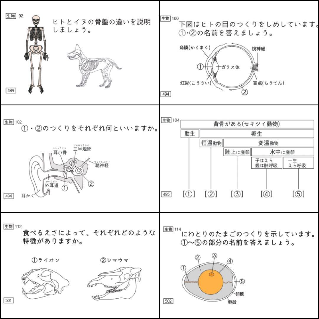 中学受験 暗記カード 理科 生物 サピックス 予習シリーズ コアプラス