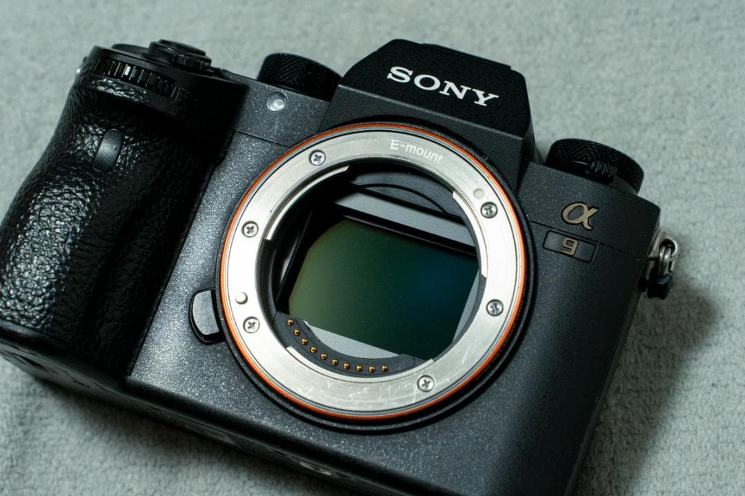 SONY α9（ILCE-9）ジャンク品 水没品 - メルカリ