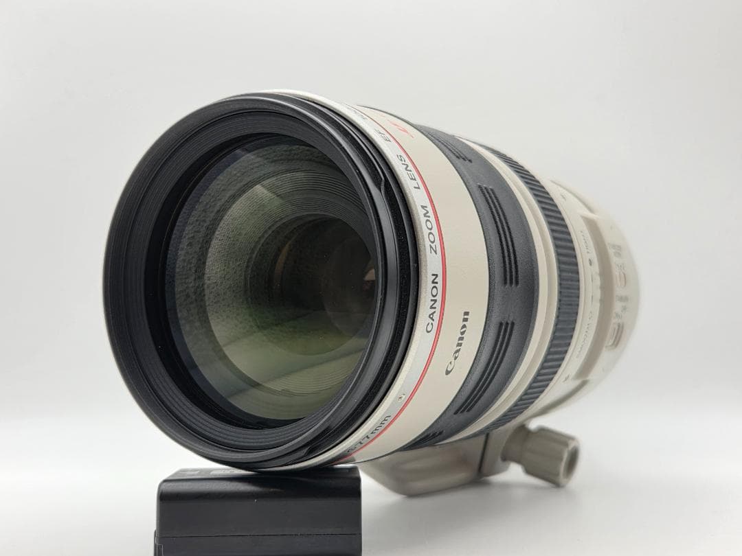 レンズ(ズーム) Canon EF 100-400mm F4.5-5.6 L IS USM