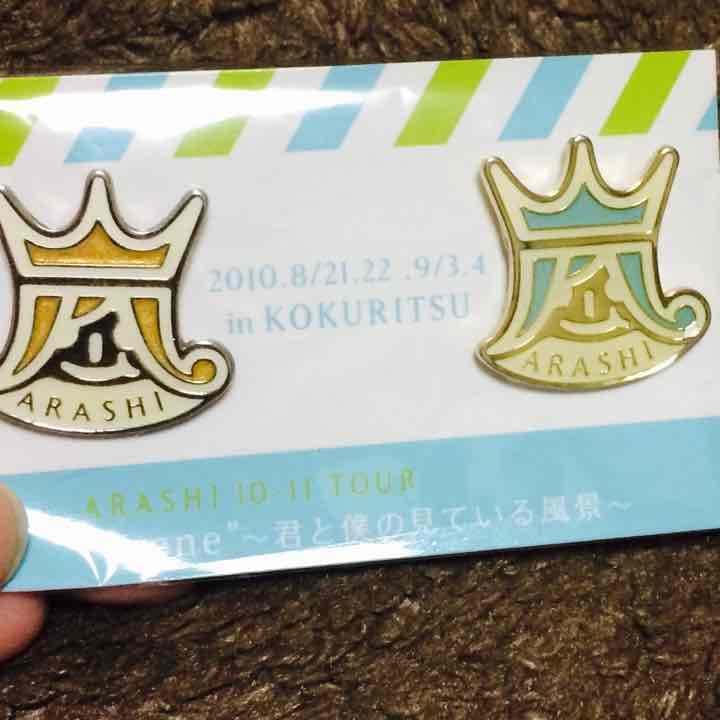 嵐 君と僕の見ている風景 グッズ 会場限定ピンバッジ 国立 - メルカリ