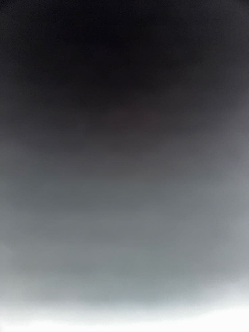 pochaさん専用ページ Pochacco Flower & Child Blind Box | Friends NYC Brooklyn