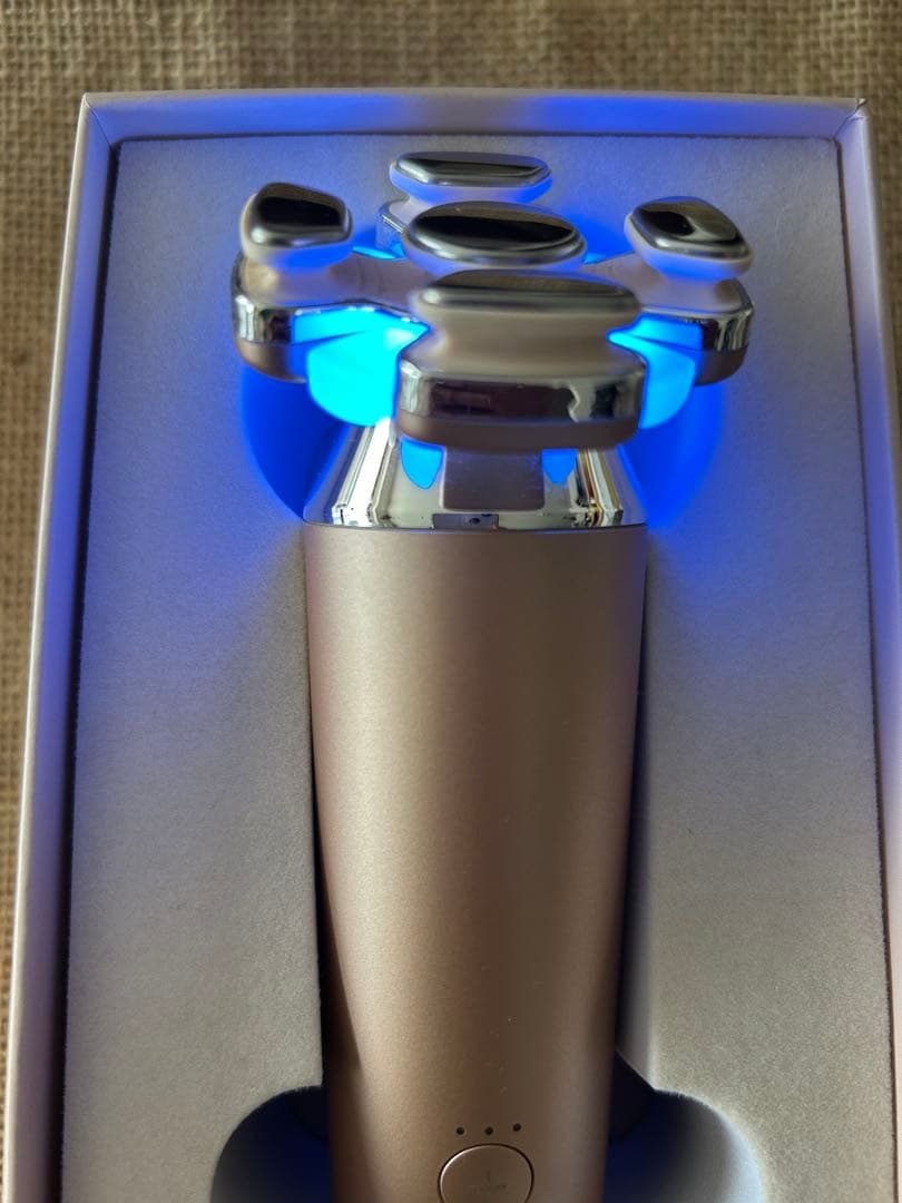 【tadasu】美品　ZOGAKIN BLOOM