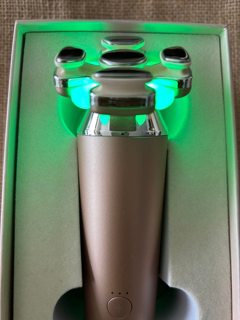 【tadasu】美品　ZOGAKIN BLOOM