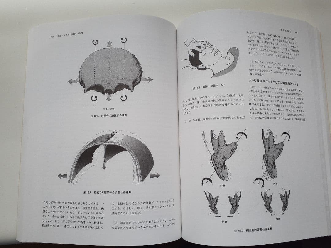 最終↓↓ クラニオセイクラル・バイオダイナミクス Vol① ～基礎編～