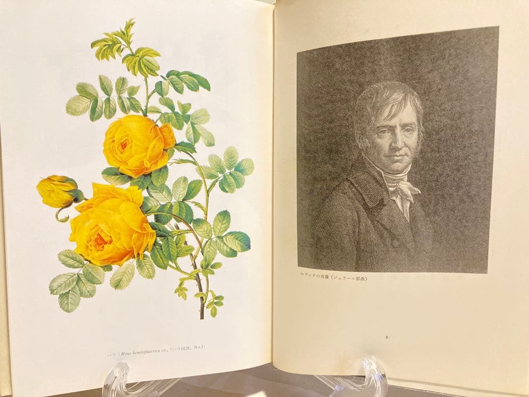 《初版》バラの画家 ルドゥテとその時代　ハードカバー　【コレクター商品】