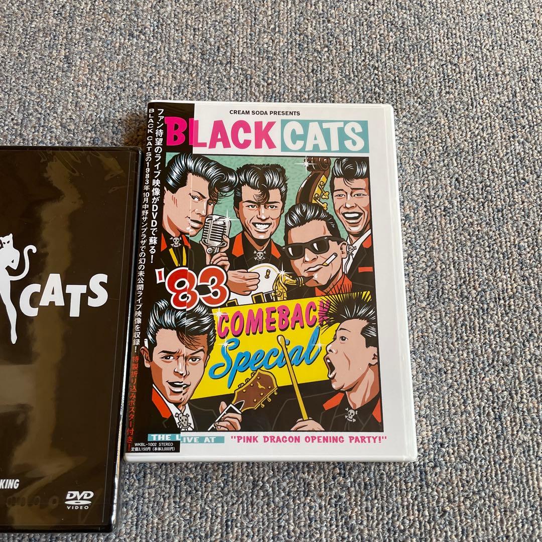 ブラックキャッツ DVD 新品 ロカビリー クリームソーダ ピンクドラゴン