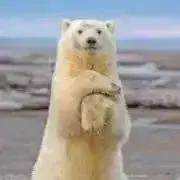 名探偵コナン/安室透.降谷零/サンシャイン水族館限定缶バッジ/スポーツ