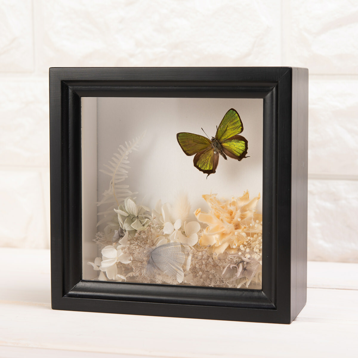 昆虫標本箱（ドイツ箱）プリザーブドフラワー×ミドリシジミ蝶1頭入り