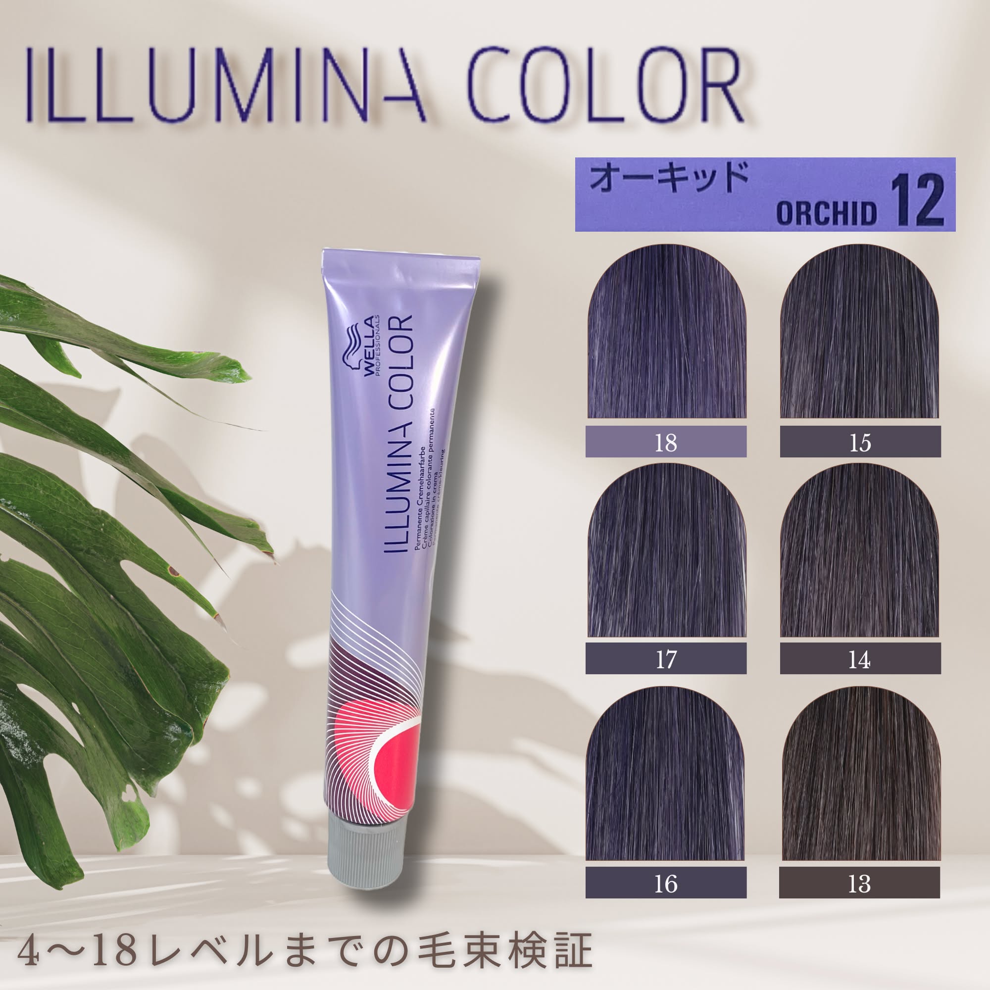 イルミナカラー クリームディベロッパー6% 1000ml 【医薬部外品】の卸