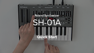 Roland - SH-01A | Synthesizer