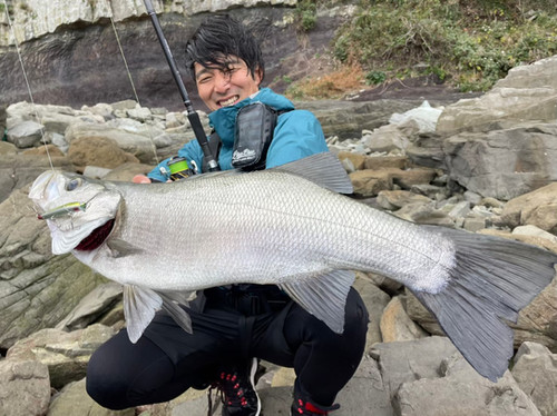 Mareflipp102S｜マーレフリップ102S | TRANSCENDENCE