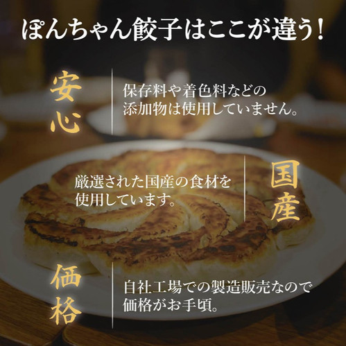 25個】ピリ辛みそ餃子 | ぽんちゃん餃子【公式ホームページ】