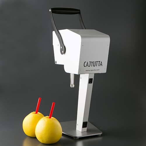 CAJYUTTA本体 | CAJYUTTA