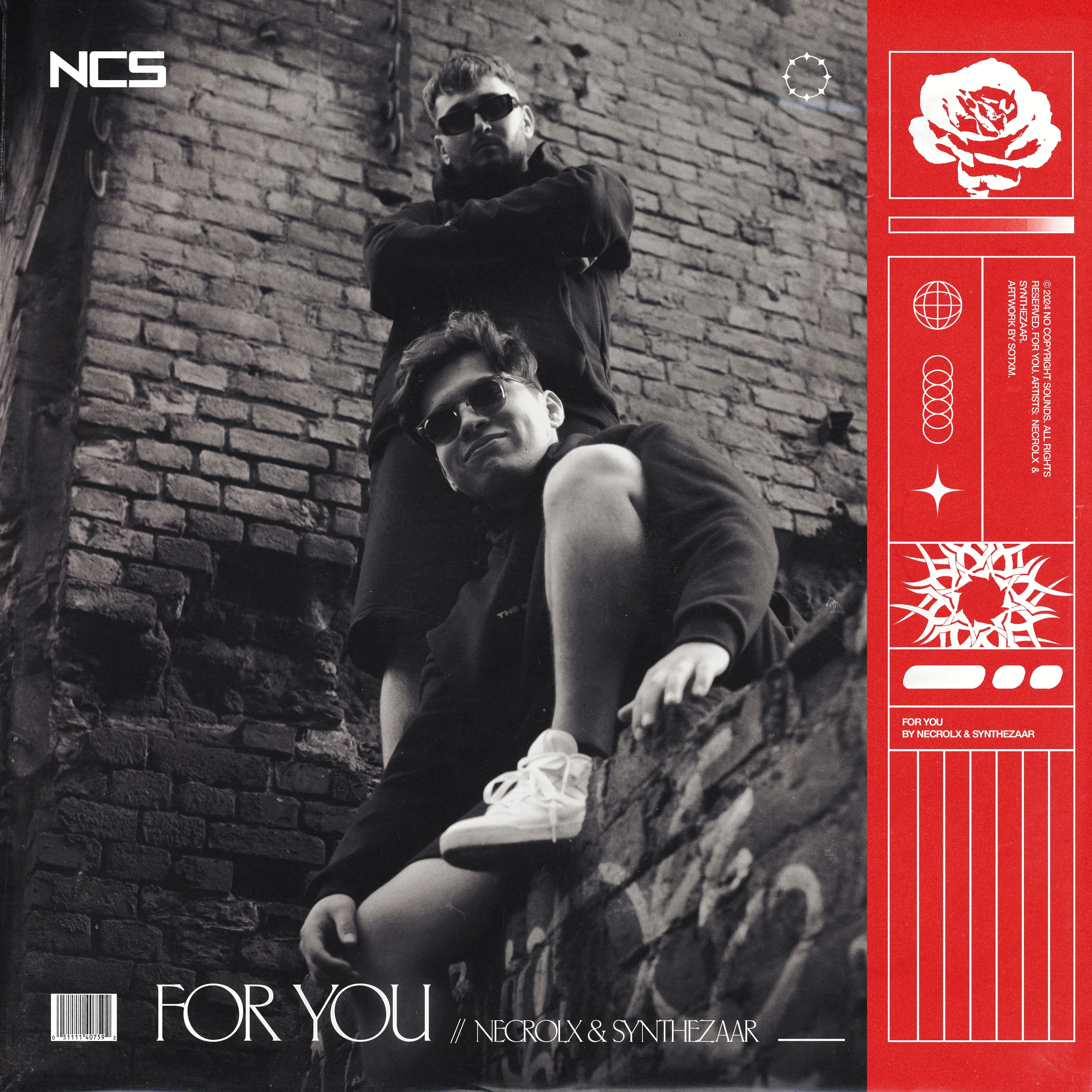 For You | NoCopyrightSounds Wiki | Fandom