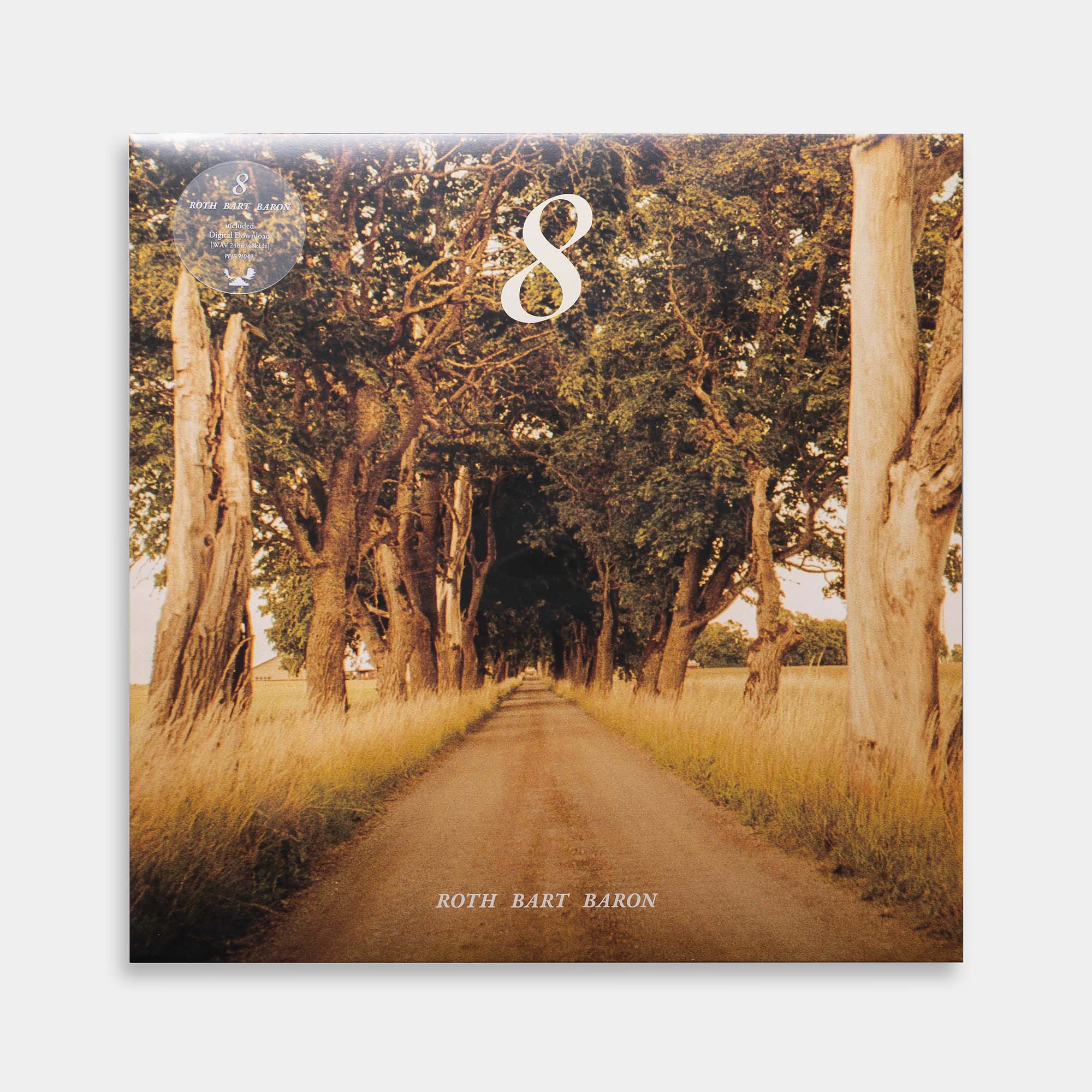 roth-bart-baron-8-vinyl.jpg?v=