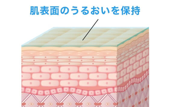 FEMININE CARE | 全身脱毛サロンのストラッシュ【STLASSH公式】