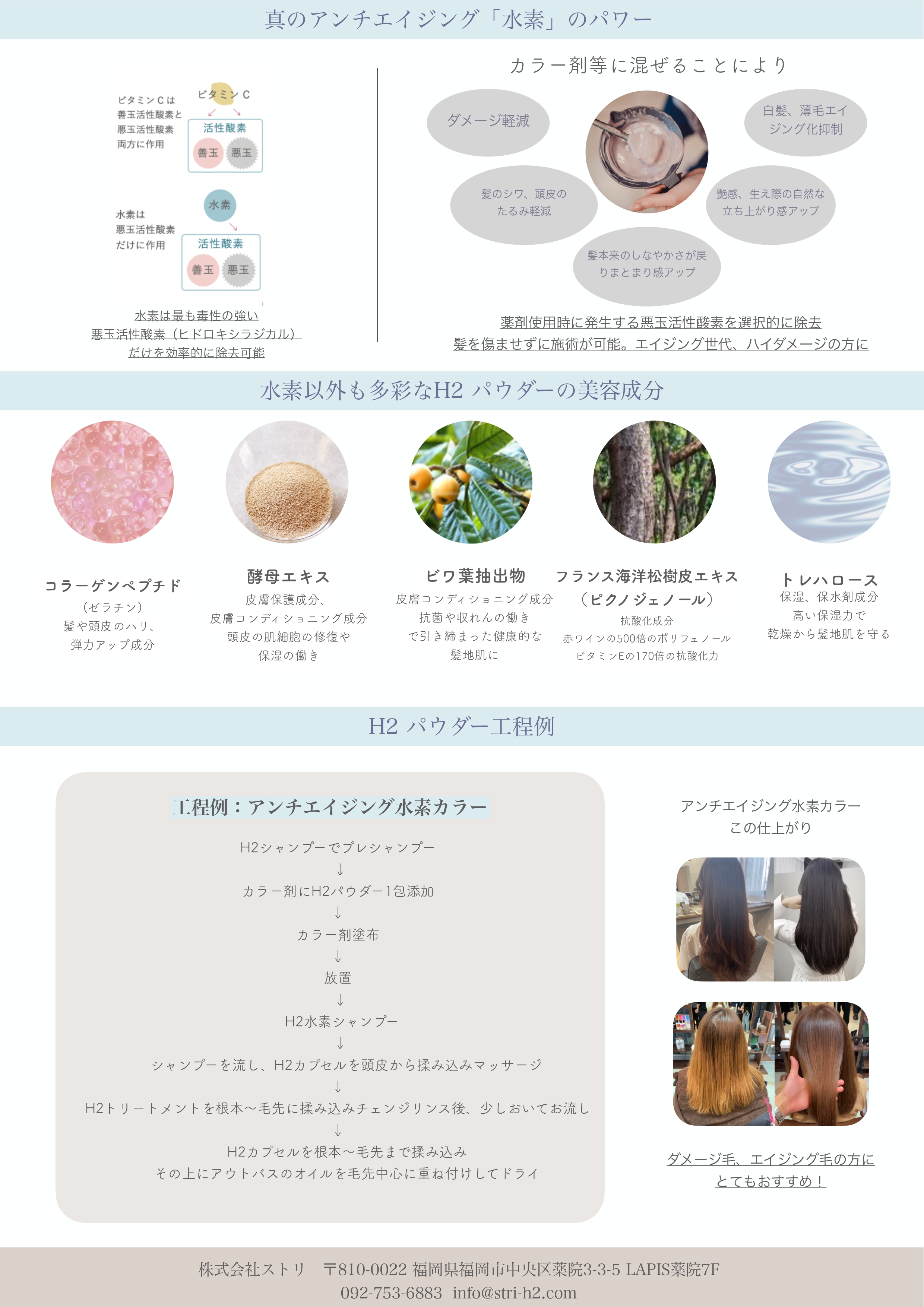 フラナガン水素パウダー使用「Exchange+H2パウダー」