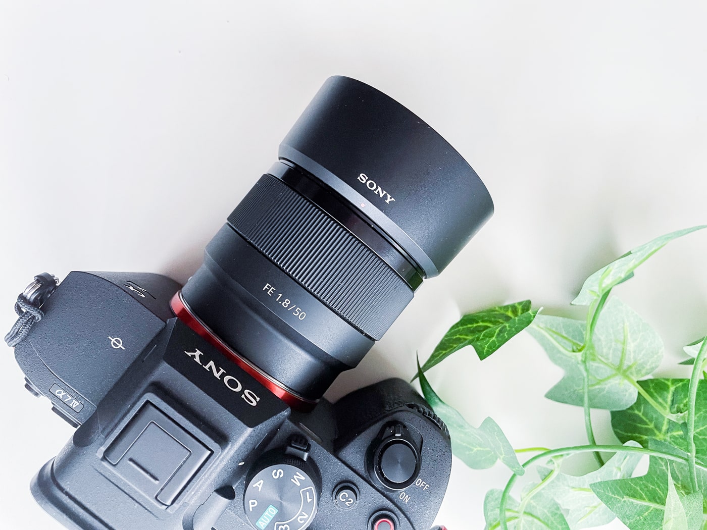 レビュー】SONY FE 50mm F1.8 単焦点レンズがコスパ最高で映りも最高