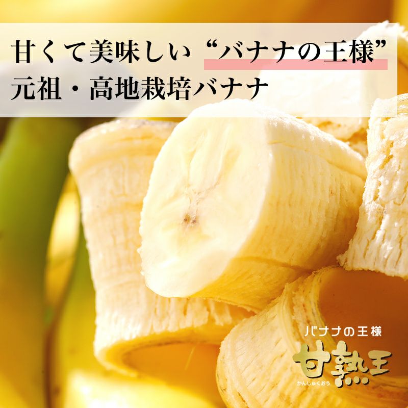 000000000405-02-l.jpg?t=