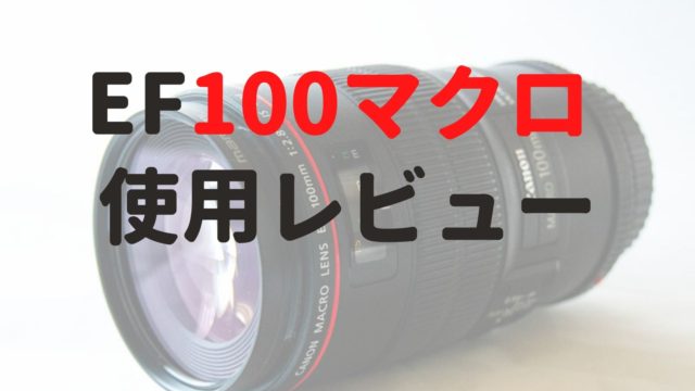 キヤノンEF100mmF2.8マクロレンズIS USM【使用レビュー】シャープな