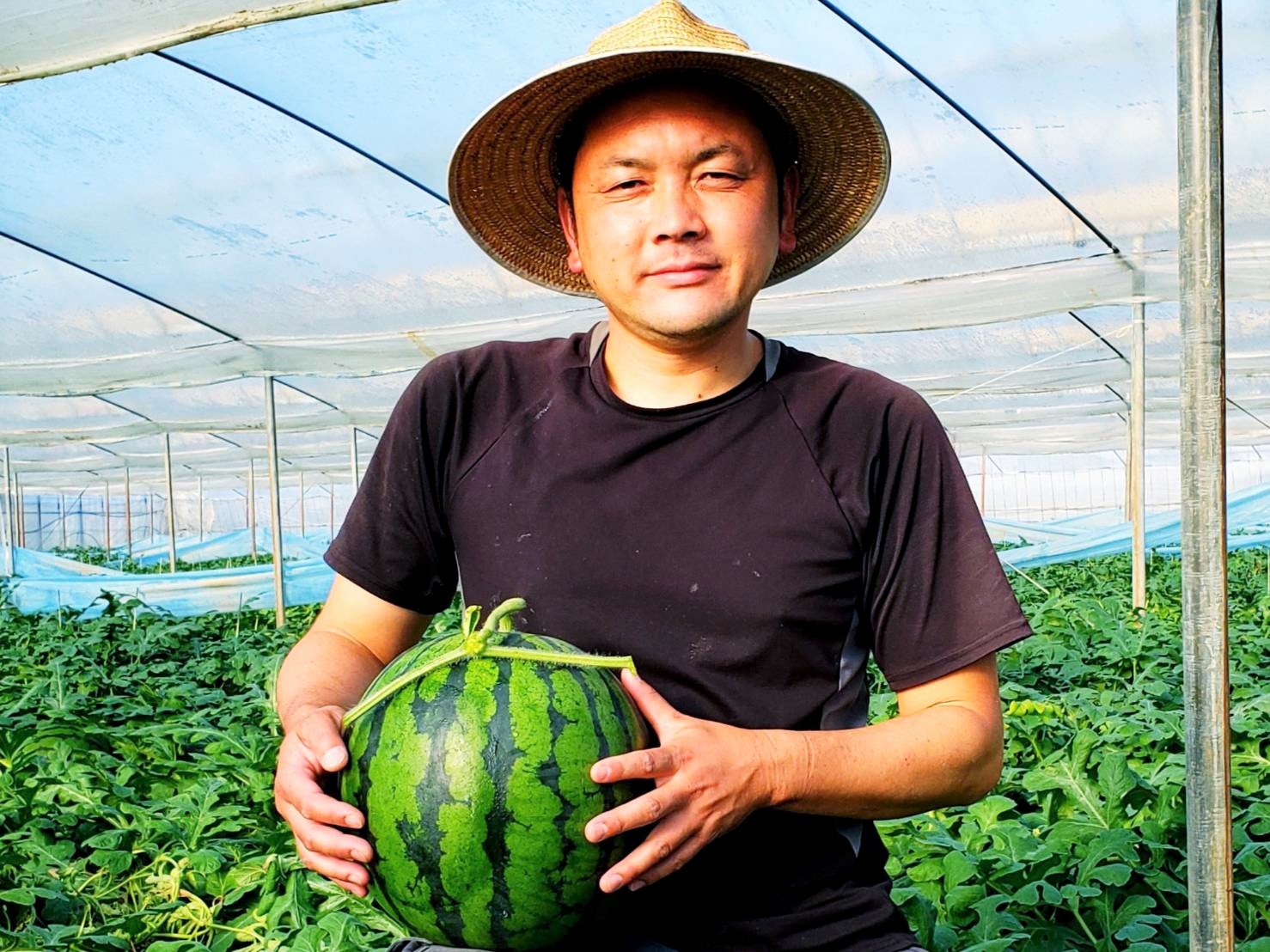 出荷者番号：531『堀 智行』 | 道の駅 すいかの里植木