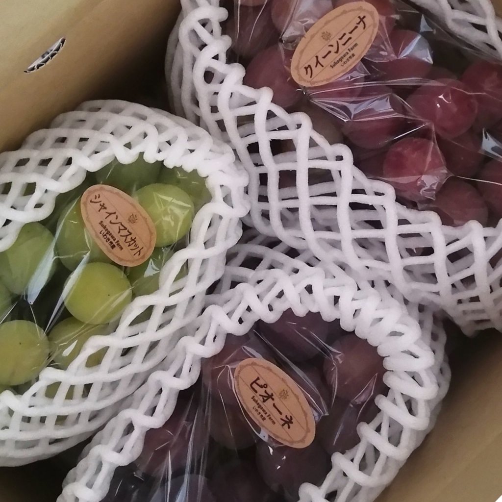 ぶどう3種詰め合わせ約1.5kg 3房入り 税込2900円 | 親バカトマト 助川