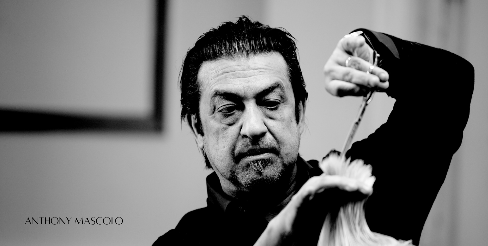 SUPERNORMAL / ViNCERE