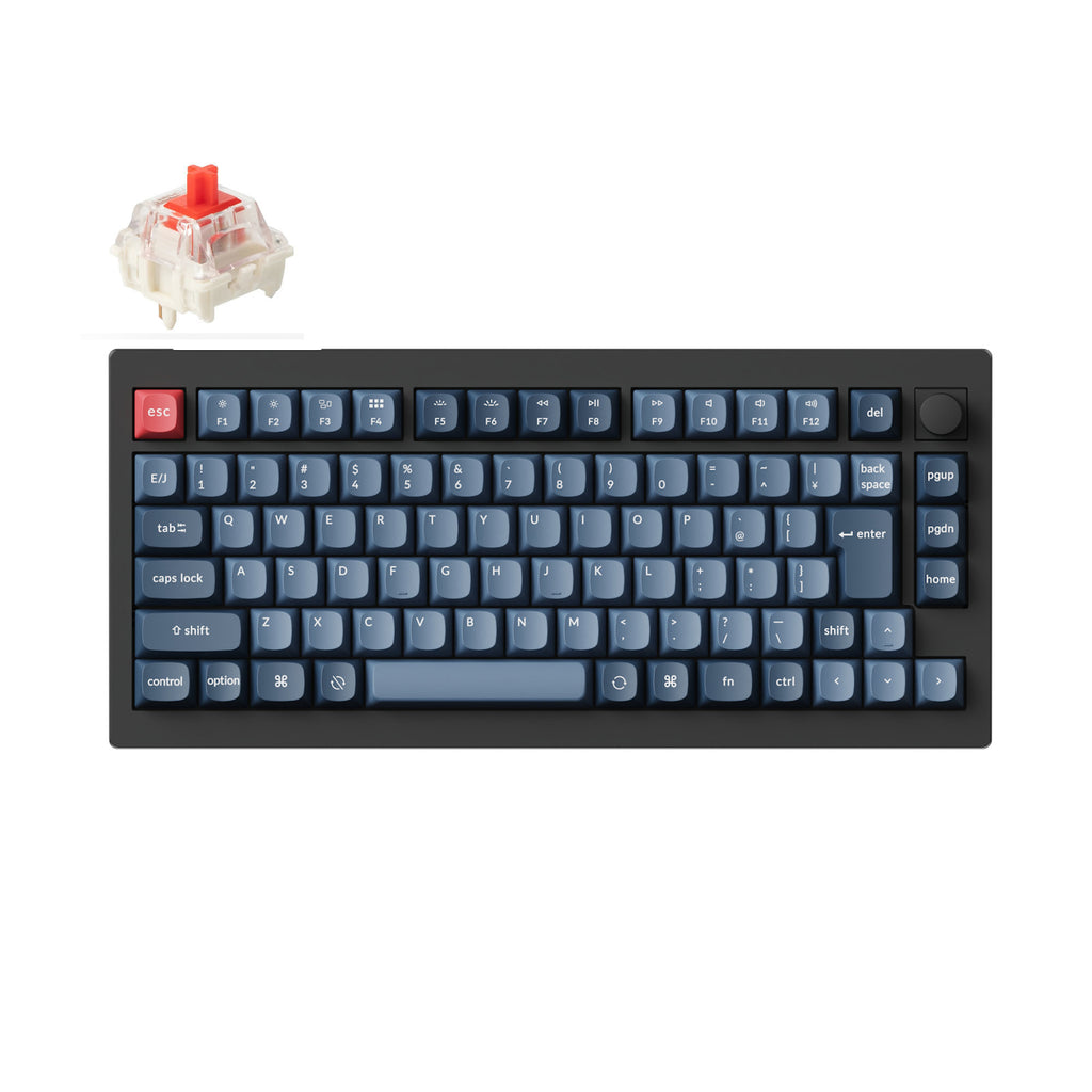 v1max-D1V-JIS_1024x1024.jpg?v=