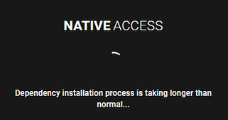 Native Accessエラー： 