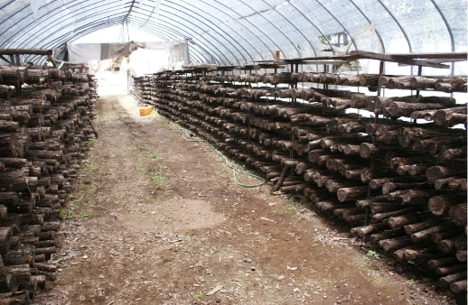 鈴鹿なヒト | 鈴鹿農園