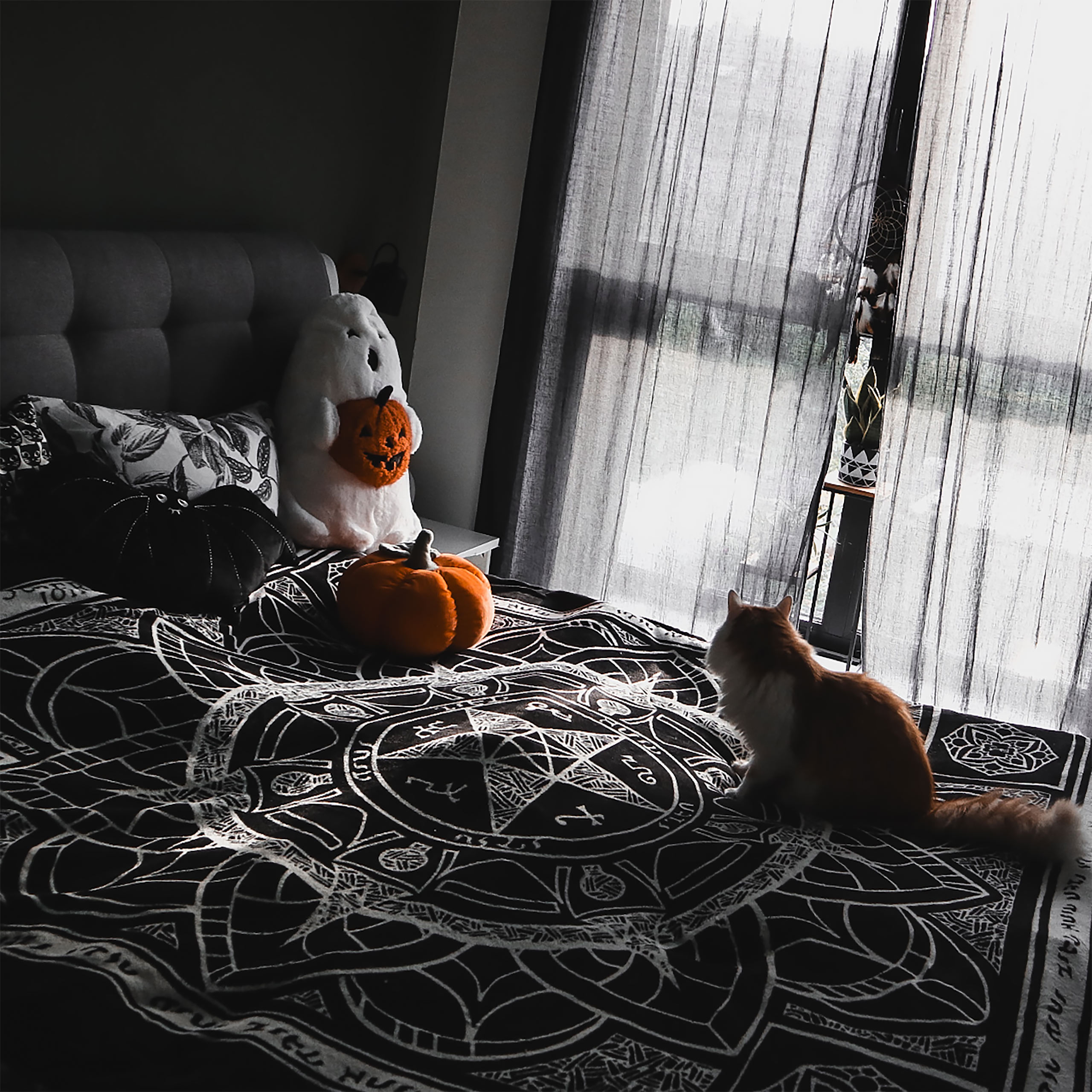 Supernatural - Devil's Trap Fleece Blanket | Elbenwald