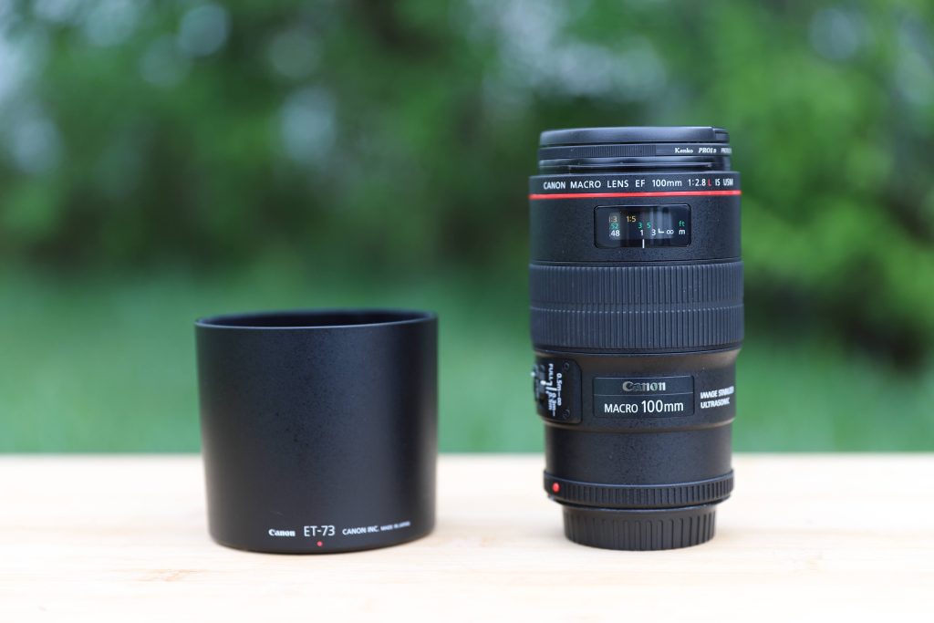 作例付きレビュー『EF 100mm F2.8L マクロ IS USM』接写だけじゃない